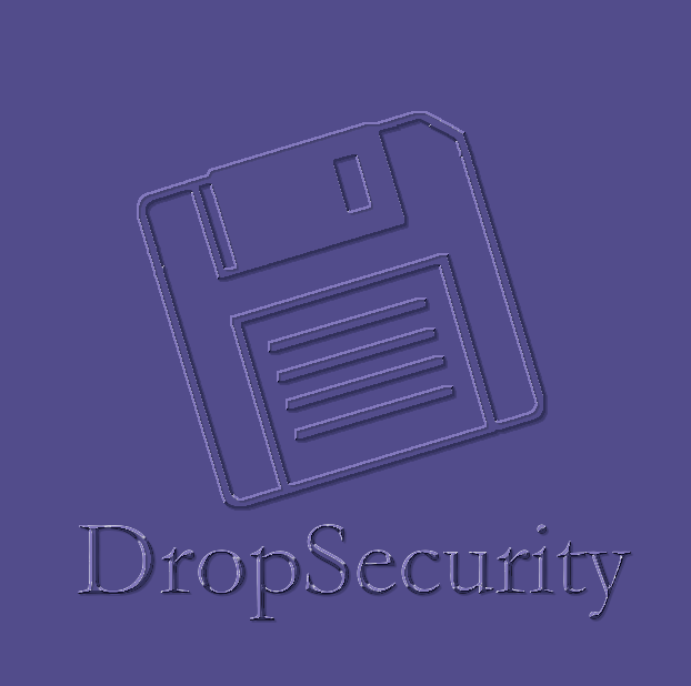 DropSecurity Logo